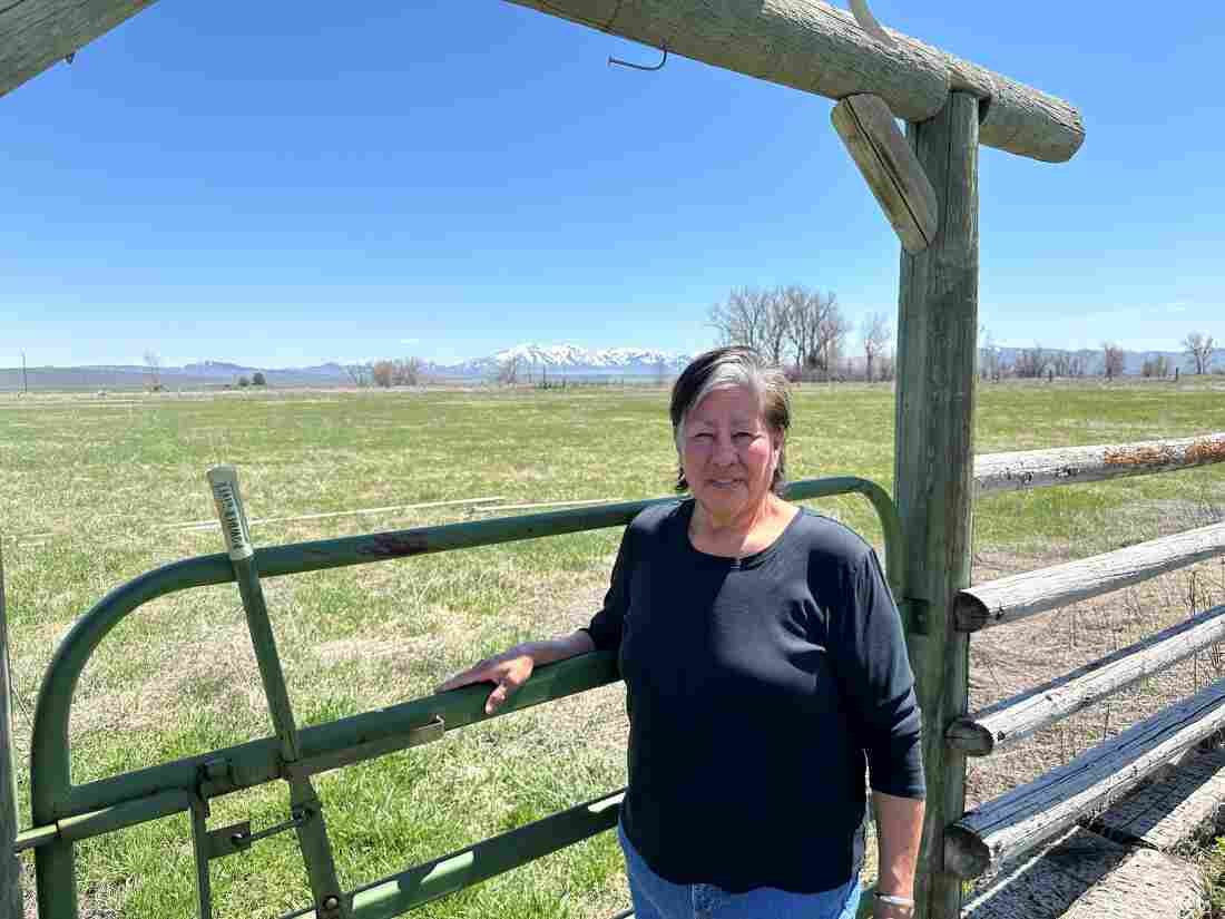 Since signing up for the Affordable Connection Program last year, Myrna Broncho's internet bill has been paid in full by the discount. The program offered $75 rebates for Internet access in tribal or high-cost areas like Broncho's, but no cash.